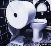 big toilet paper
